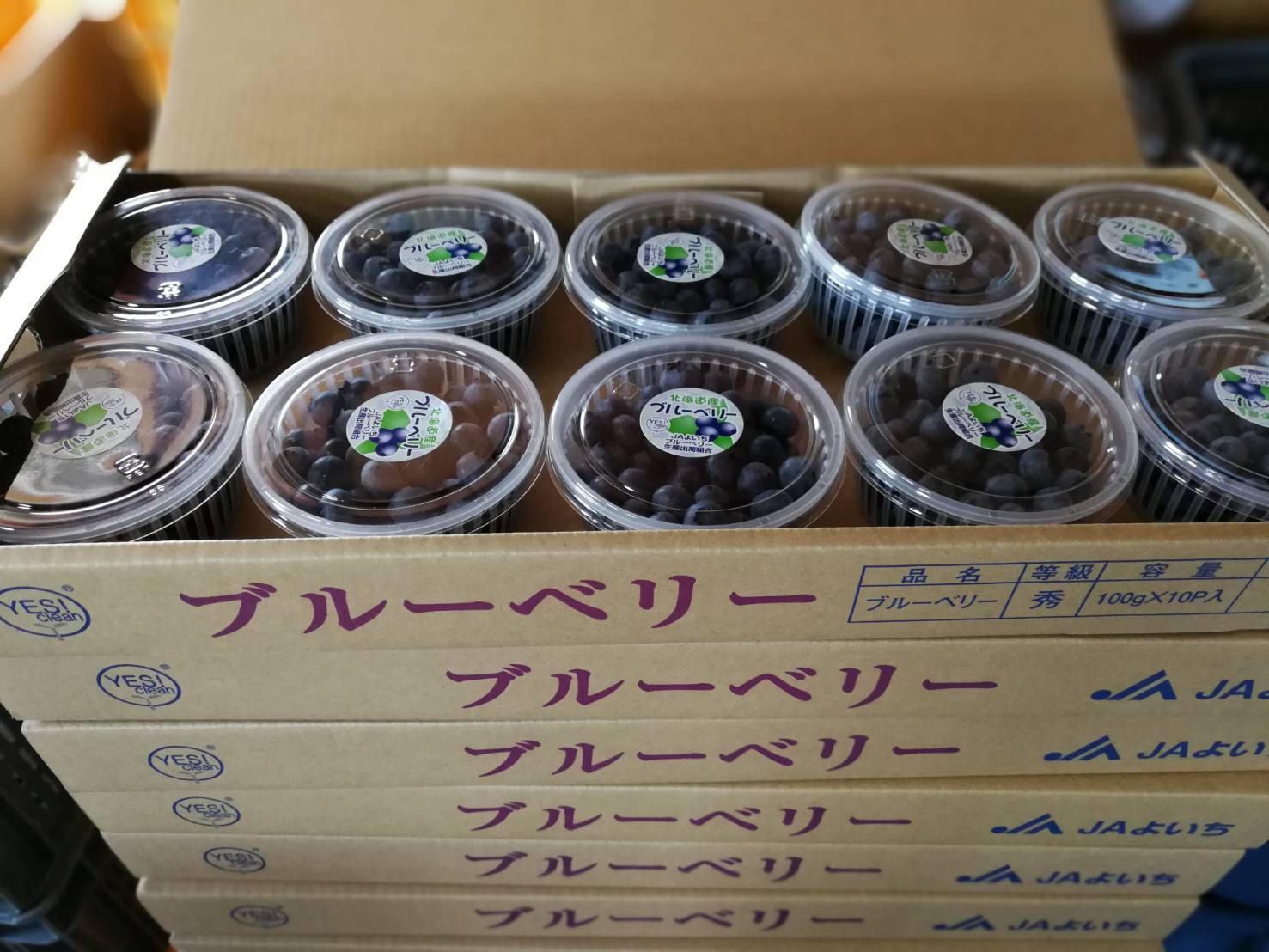 ブルーベリー収穫 出荷中 北海道余市からの直送販売も 砂川果樹園ブログ