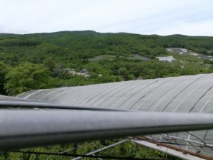 雨よけハウス画像
